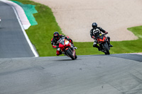 PJ-Motorsport-2019;donington-no-limits-trackday;donington-park-photographs;donington-trackday-photographs;no-limits-trackdays;peter-wileman-photography;trackday-digital-images;trackday-photos